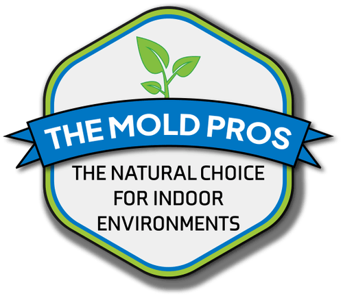 the mold pros logo